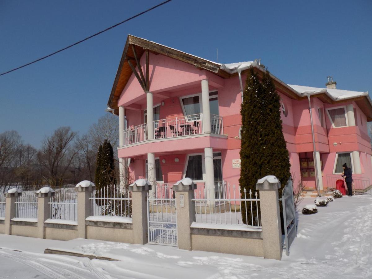 Liget Apartmanhaz Kehidakustány Dış mekan fotoğraf