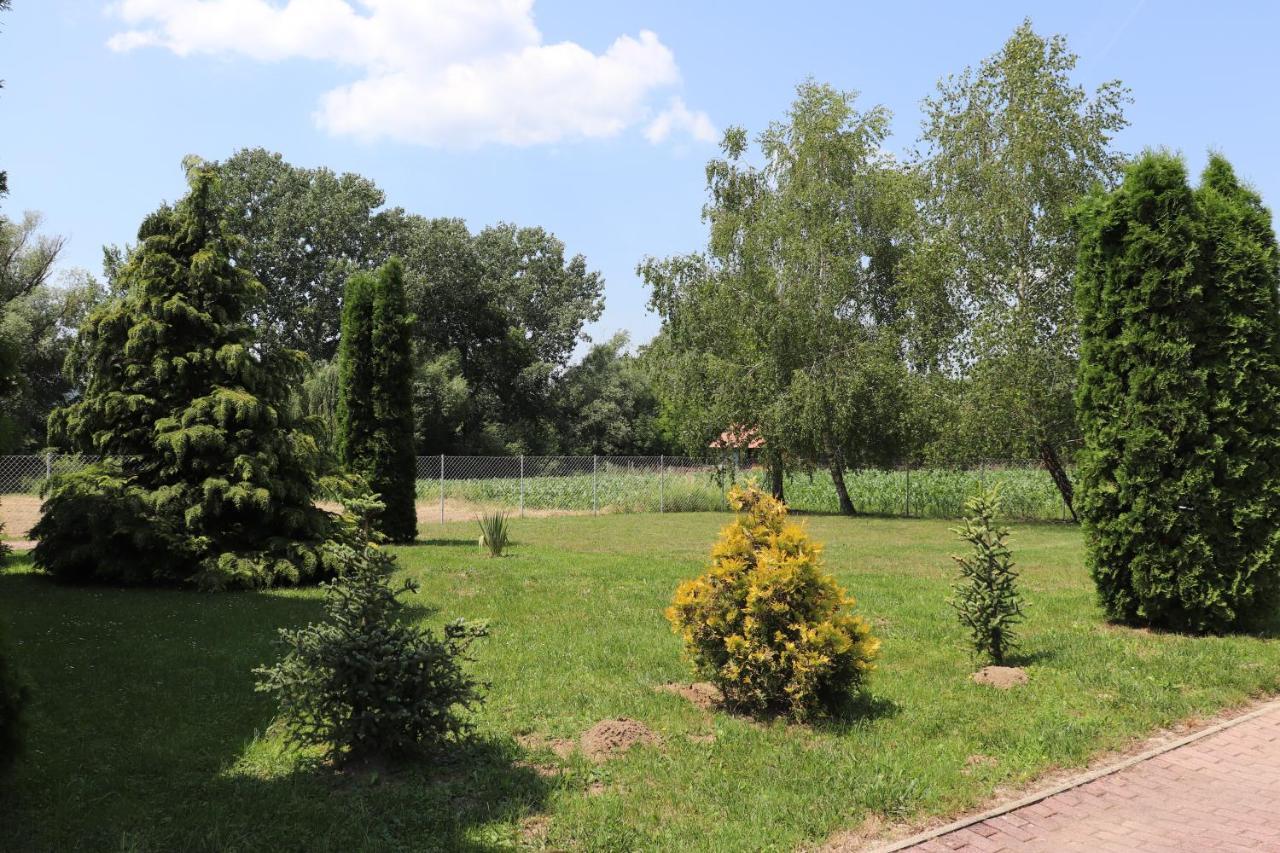 Liget Apartmanhaz Kehidakustány Dış mekan fotoğraf